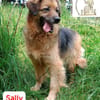 Sally - die scheue Schönheit