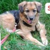 Sally - die scheue Schönheit