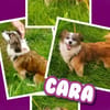 Kleine Cara wartet in Hausen!