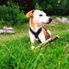 Masha❤sucht Pflege- oder Endstelle