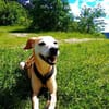 Masha❤sucht Pflege- oder Endstelle