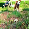 Masha❤sucht Pflege- oder Endstelle
