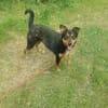 Sonnenschein sucht Dich