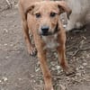 Barnus sucht seine Familie