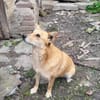 Lass dich von Cassandra verzaubern