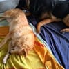 Lass dich von Cassandra verzaubern