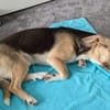 Luis wartet auf seine Familie