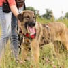 Zutrauliche Resi sucht ein Zuhause