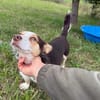 Mimi