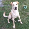 BUDY le magnifique