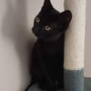 ARCHIMEDE