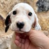HERO (Martina)
