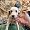 HERO (Martina)