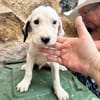 HERO (Martina)