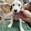 HERO (Martina)