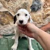 HERO (Martina)