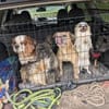 Zuhause gesucht für Muki