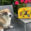 CARINIO * fröhlicher Bub m. eigenem Kopf
