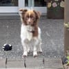 Didy  lieber mittendrin als nur dabei