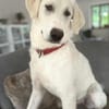 Libby wartet auf ihre Familie