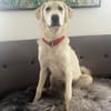Libby wartet auf ihre Familie