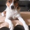 Wer entdeckt Barney-wartet in PLZ 12683