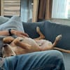 Lucky wartet schon zu lange