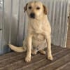 Rintintin su. Einzelplatz