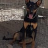 Komet liebt Abenteuer