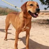 WINNIE (Maria)