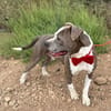 KRYPTO (Maria)