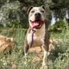 KRYPTO (Maria)