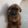 BALU (Maria)