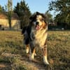 Osko