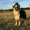 Osko