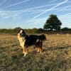 Osko