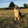 Osko