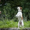 Penelope hofft auf ihre zweite Chance