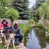 Menschenbezogene Rua sucht Zuhause