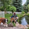 Menschenbezogene Rua sucht Zuhause
