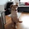 ‼CREAM in 41236 Mönchengladbach 🆘