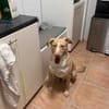 ‼CREAM in 41236 Mönchengladbach 🆘