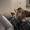 ‼CREAM in 41236 Mönchengladbach 🆘
