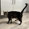 Roy sucht mit Garten oder Freigang