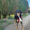 Zoe sucht ihre Menschen