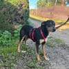 Zoe sucht ihre Menschen