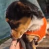 Jule,  eine ganz hübsche Maus