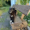 NINA hat nichts falsch gemacht