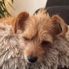 Lola möchte Ihre Familie bereichern