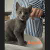 AQUALI (dossier en cours)